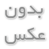 استادولدینگ